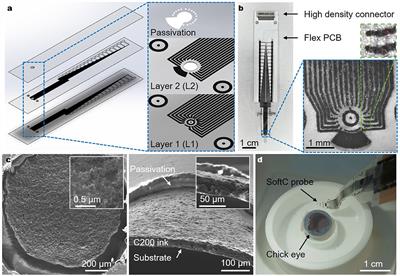 Bi-directional electrical recording and stimulation of the intact retina with a screen-printed soft probe: a feasibility study